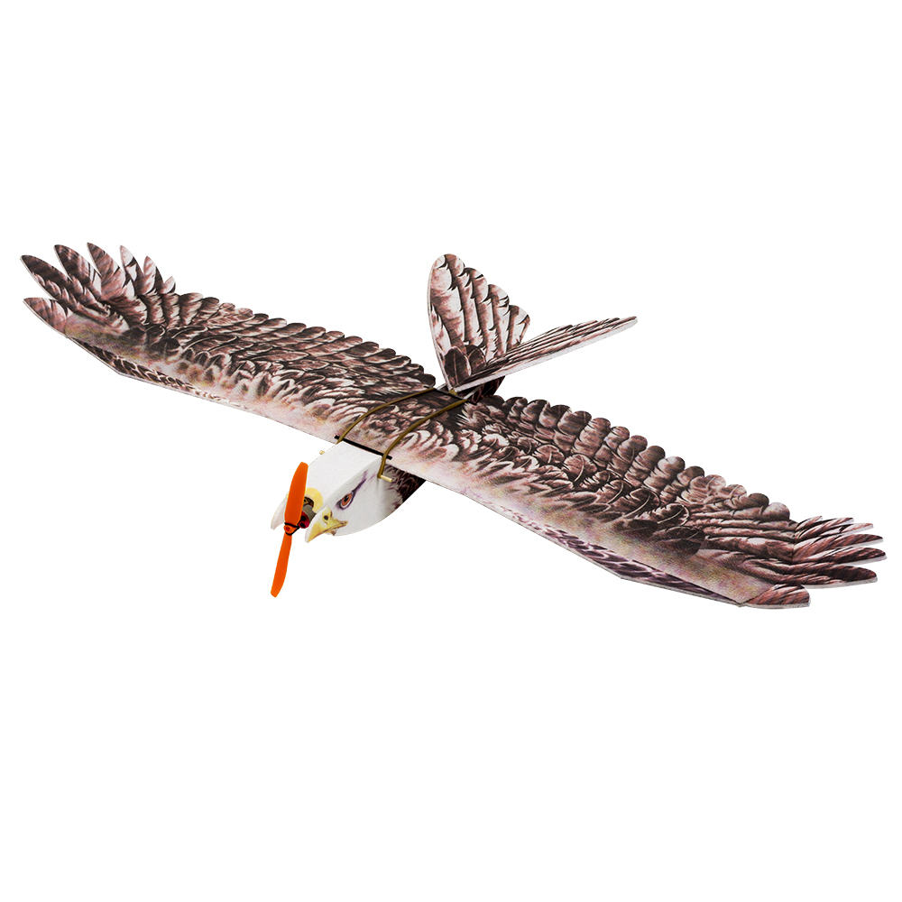 DW Hobby Eagle II EPP avion RC - Rc Hobby Plane avis et prix