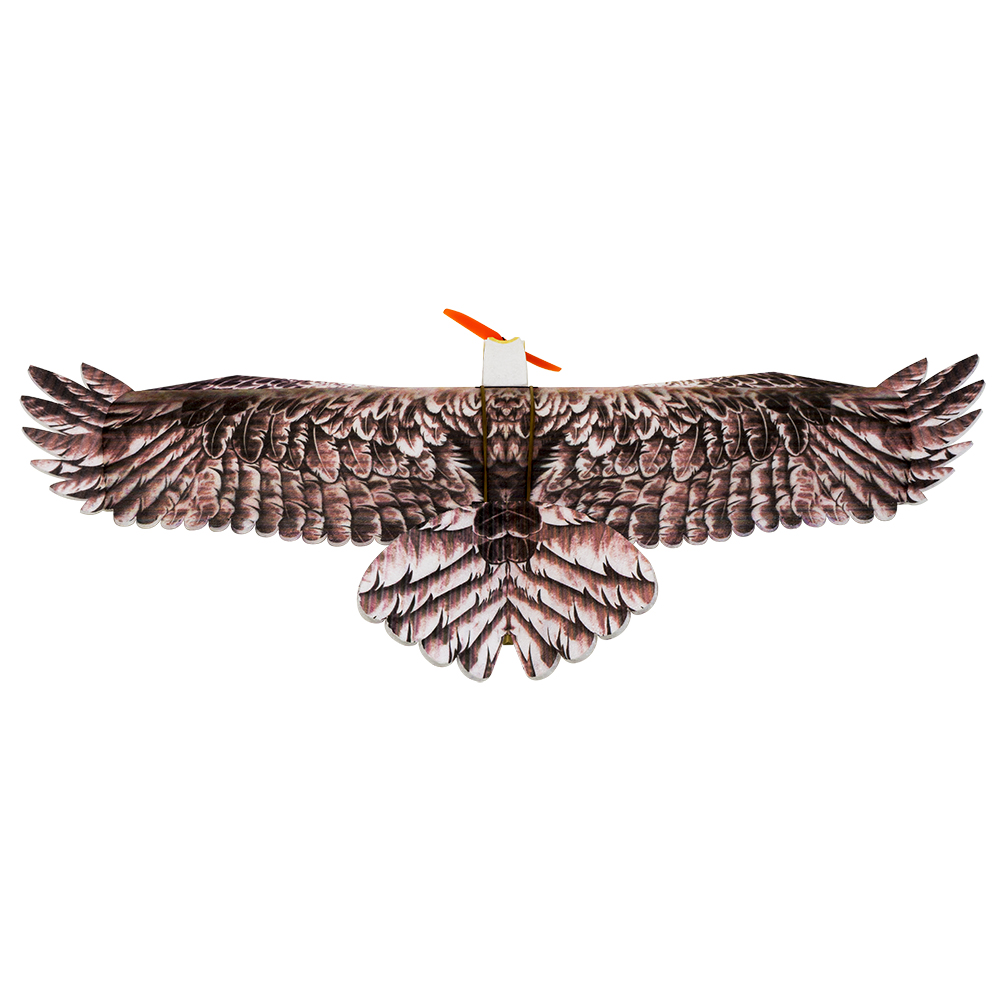 DW Hobby Eagle II EPP avion RC - Rc Hobby Plane avis et prix
