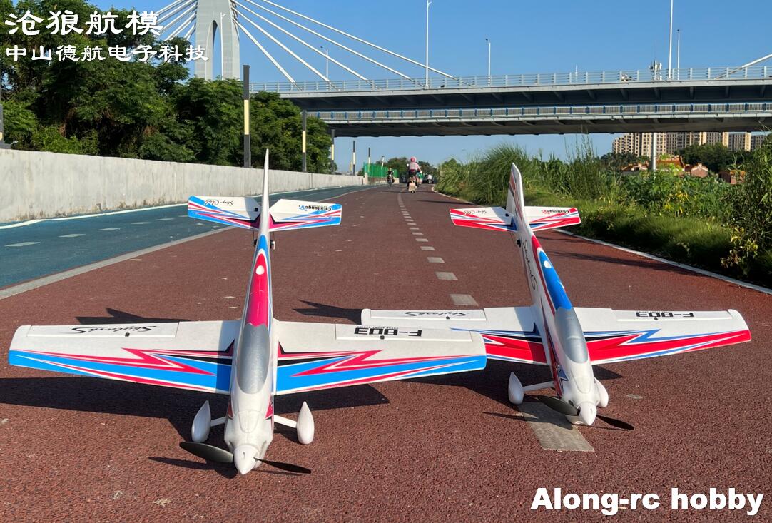 F803 F3A Skylarks 1000mm enver - Rc Hobby Plane avis et prix