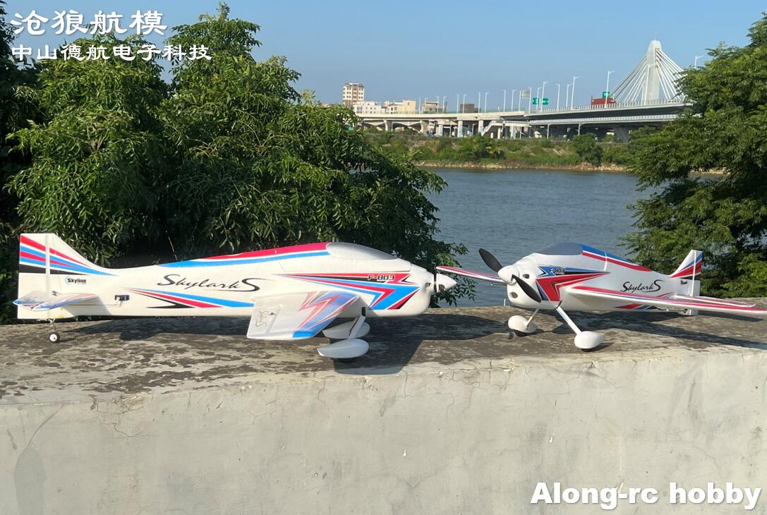 F803 F3A Skylarks 1000mm enver - Rc Hobby Plane avis et prix